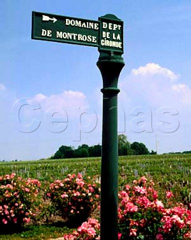 Old sign pointing to Chteau Montrose StEstphe   Gironde France    Mdoc  Bordeaux