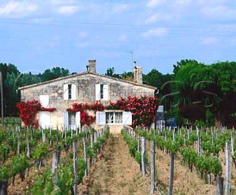 Rosecovered house amidst vineyards at StGeorges   Gironde France  StGeorgesStmilion  Bordeaux