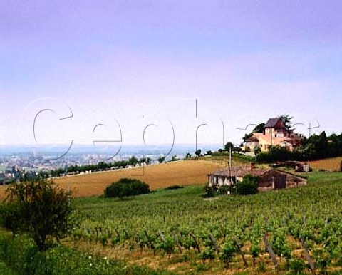 Vineyards above Marmande LotetGaronne France  AC Ctes du Marmandais