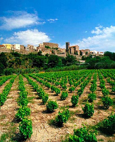 Village of LatourdeFrance above vineyard  PyrnesOrientales France   Ctes du RoussillonVillages LatourdeFrance