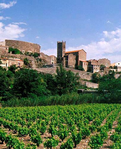 Village of LatourdeFrance above vineyard  PyrnesOrientales France   Ctes du RoussillonVillages LatourdeFrance