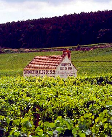 Hut of Domaine Pierre Damoy in Chambertin Clos de   Beze  a Burgundy Grand Cru vineyard in the commune   of GevreyChambertin on the Cote de Nuits