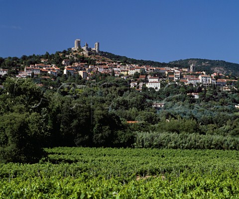 Vineyards below the village of Grimaud Var France  Ctes de Provence