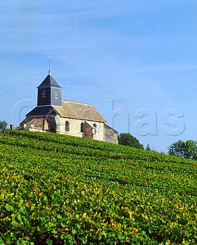 The church at Mutigny on the Montagne de Reims    Champagne