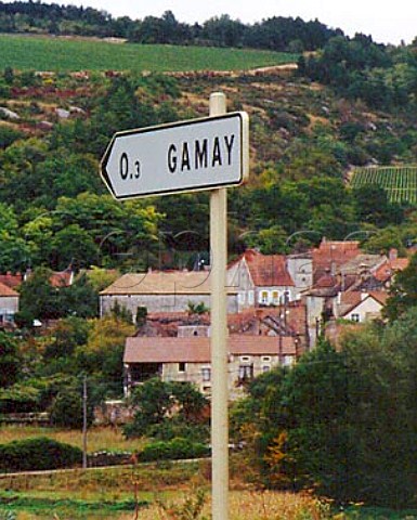 Sign to the village of Gamay Cte DOr France StAubin 
