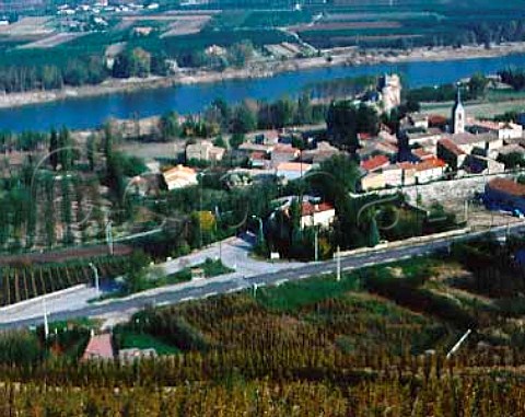 Vineyard above Chateaubourg and the Rhone   AC   StJoseph