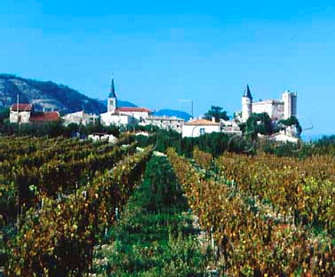 Chateaubourg viewed over vineyard Ardche France    AC StJoseph