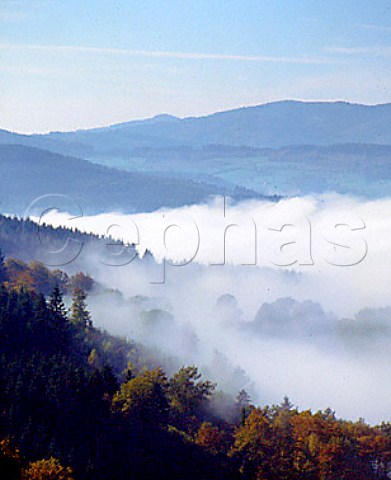 Autumnal fog blankets the lower slopes and valleys   of the Beaujolais mountains  Rhne France    RhneAlpes