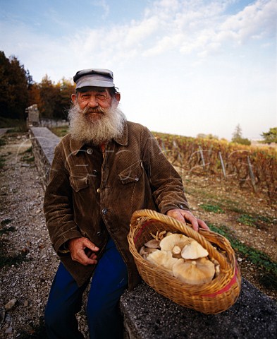 Elderly man with wild mushrooms picked from the   woods above PremeauxPrissey near NuitsStGeorges   Cte dOr France