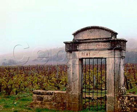 Gate to vineyard of LatriciresChambertin at GevreyChambertin Cte DOr France  Cte de Nuits Grand Cru
