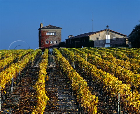 Chteau Rieussec viewed over autumnal Semillon vineyard Fargues Gironde France   Sauternes  Graves