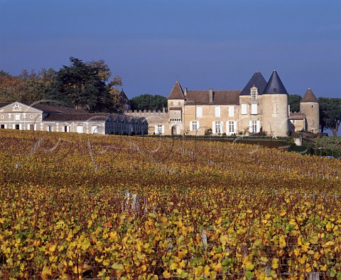 Autumnal vineyard at Chteau dYquem Sauternes   Gironde France Sauternes  Bordeaux