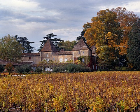 Chteau Carbonnieux viewed over its autumnal vineyard Lognan Gironde France   PessacLognan  Bordeaux
