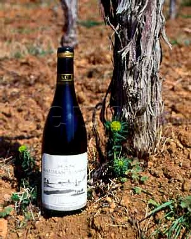Bottle of Mas de Daumas Gassac red wine by one of   the original Cabernet Sauvignon vines planted 1972   in the unique red soil of the property Aniane   Herault France