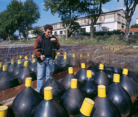Glass bonbonnes of Mas Amiel each holding 70 litres in which the wine is placed for its 1st year The regisseur checks the wines progress every 3 months  Maury PyrnesOrientales France Maury