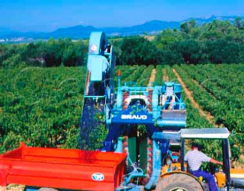 Machine harvesting of Cabernet Sauvignon grapes at   Chateau de Capion Aniane Herault France