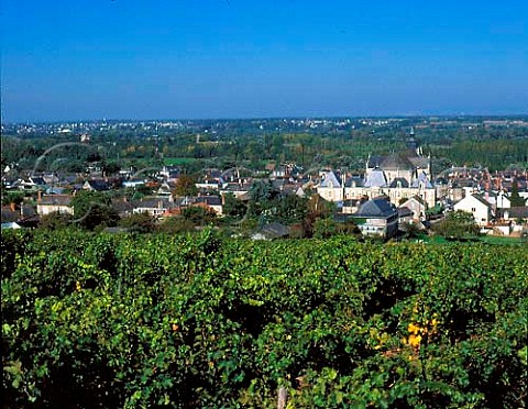View over RochefortsurLoire and the Loire valley   MaineetLoire France ACs AnjouVillages Coteaux   du LayonVillages etc