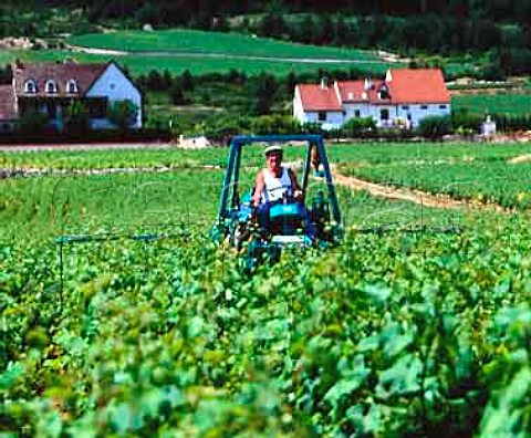 JeanNoel Gagnard spraying his vines in Morgeot   vineyard ChassagneMontrachet Cte dOr France
