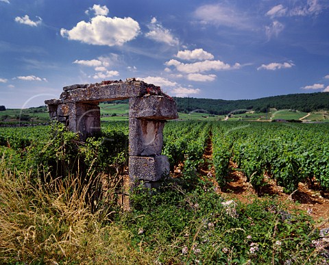 Old entrance to Les Boirettes vineyard   ChassagneMontrachet Cte dOr France    Cte de Beaune Premier Cru