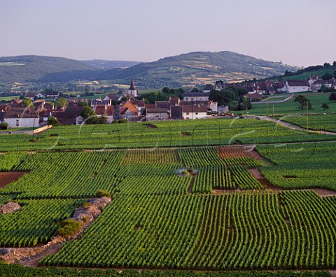 ChassagneMontrachet viewed over les Chenevottes and les Macherelles vineyards   Cte dOr France Cte de Beaune
