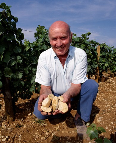 The late Henri Jayer in his Echzeaux vineyard with chunks of limestone from the soil  VosneRomane Cte dOr France Cte de Nuits