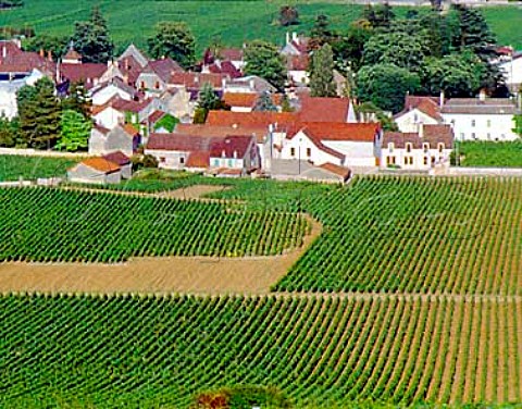 VosneRomanee viewed over la Tache vineyard Cote   dOr France Cote de Nuits
