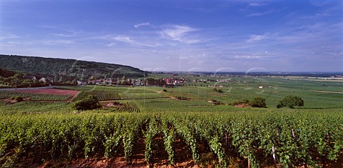 View north from the top of Les Creux Baissants vineyard over villages of ChambolleMusigny and MoreyStDenis Cte dOr France  Cte de Nuits