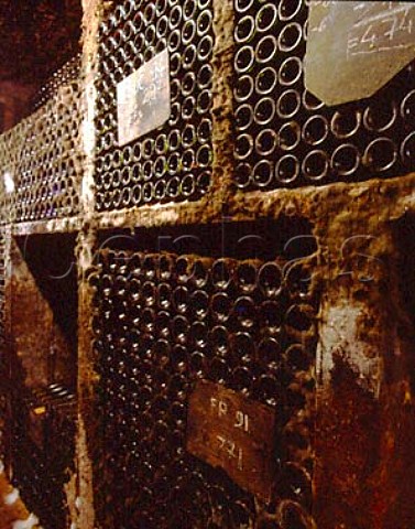 Vintage bottle cellar of Domaine de lArlot   PremeauxPrissey Cote dOr France