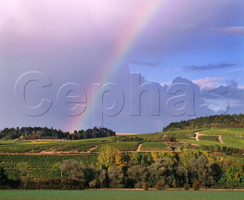 Harvesttime rainbow over Bougros and Les Preuses vineyards Chablis Yonne France   Chablis Grand Crus