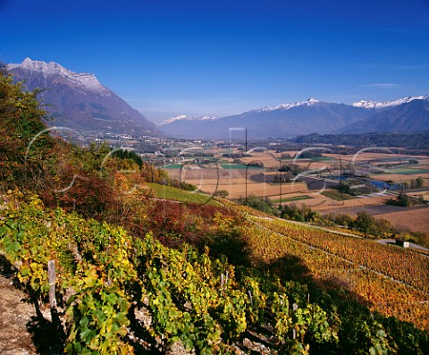 Autumnal vineyards above the Isere Valley with Dent dArclusaz  beyond Cruet Savoie France Vin de SavoieCruet