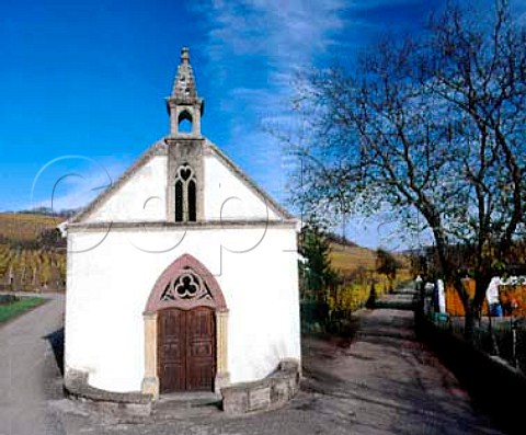 Chapel at Orschwihr with the Grand Cru Pfingstberg   vineyard beyond HautRhin France Alsace
