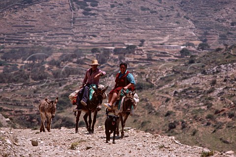 Couple riding donkeys Ios Greece