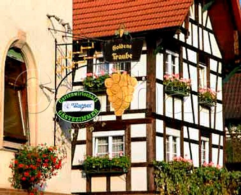Golden Grape guest house Durbach Baden Germany   Ortenau Bereich