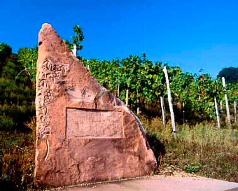 Stone commemorating the Klingelberger grape   Riesling at Schloss Staufenberg Durbach Baden    Ortenau Bereich