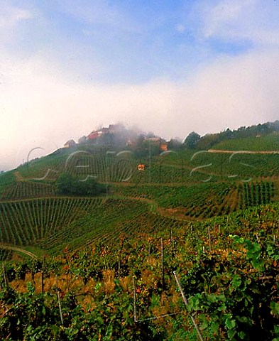 Schloss Staufenberg shrouded in mist above its   vineyards Owned by the Margrave of Baden at Durbach   Baden Germany    Ortenau Bereich