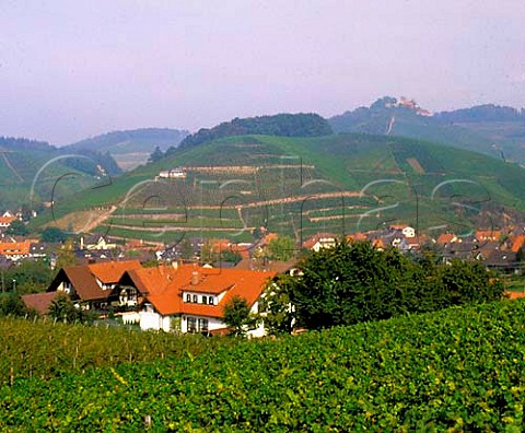 The wine town of Durbach surrounded by vineyards   with Schloss Staufenberg owned by the Margrave of   Baden on the hill beyond  Baden Germany   Ortenau Bereich
