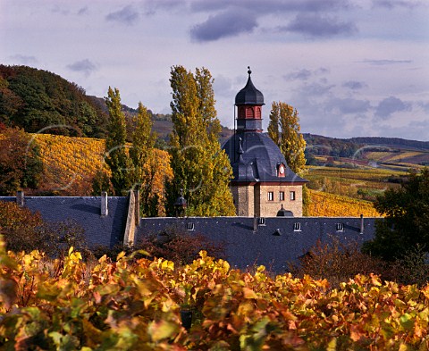 The Schlossberg vineyard surrounds Schloss Vollrads on the hillside above Winkel Germany  Rheingau