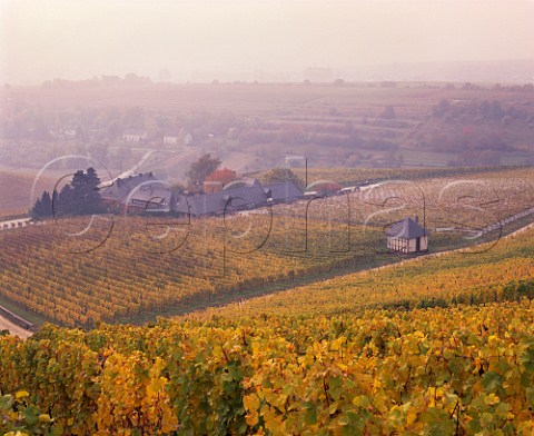 The Staatsweingut in the Baiken vineyard viewed from the Gehrn vineyard on a misty autumn morning Rauenthal Germany   Rheingau