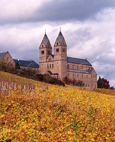 St Hildegardis Abbey amidst the vineyards above   Rdesheim Germany    Rheingau