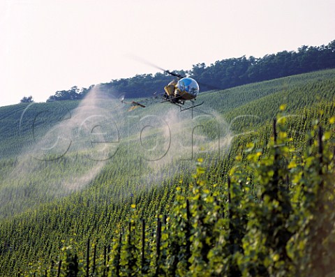 Spraying vines by helicopter BernkastelKues   Germany    Mosel