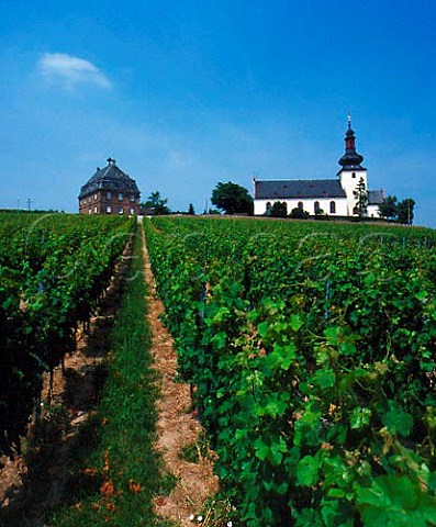 Church in the Glock vineyard at Nierstein Germany   Rheinfront  Rheinhessen