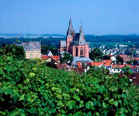 View over Oppenheim from the Herrenberg vineyard   Germany     Rheinfront  Rheinhessen