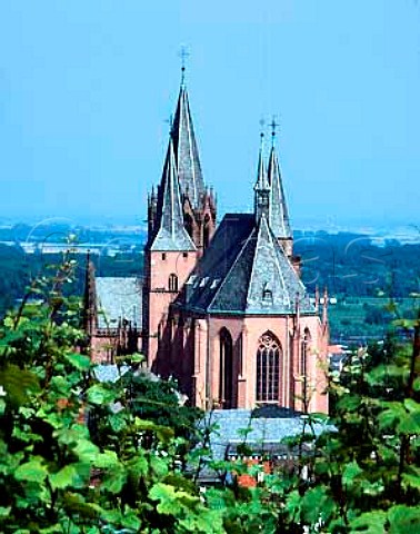 The Katharinenkirche viewed from the Herrenberg   vineyard Oppenheim Germany    Rheinfront  Rheinhessen