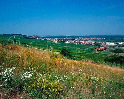 Oppenheim viewed over the Herrenberg and Sacktrager   vineyards Germany Rheinfront  Rheinhessen
