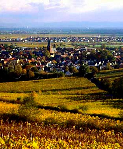 Autumnal Riesling vines surround the village of   Deidesheim Pfalz Germany   Grosslage Mariengarten