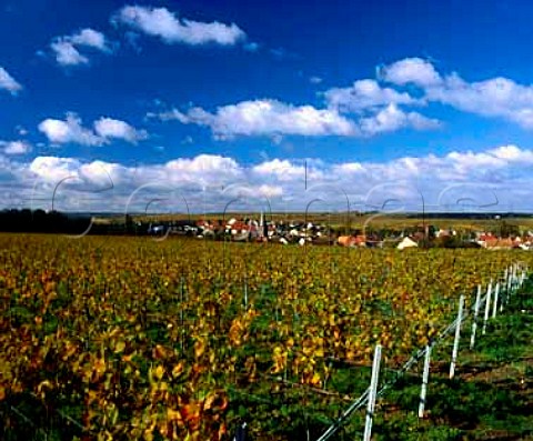 Village of Grosskarlbach viewed from the Osterberg   vineyard Pfalz Germany   Bereich Mittelhaardt Deutsche Weinstrasse