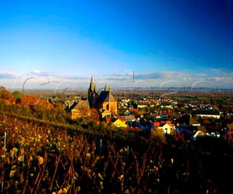 Oppenheim and its Katharinenkirche viewed from the   Herrenberg vineyard Rheinhessen Germany    Rheinfront