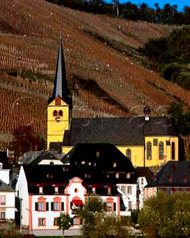 Village and church of Zeltingen at the foot of the   Schlossberg vineyard In early November the vine   leaves have been turned brown by the first frost of   autumn   Germany       Mosel