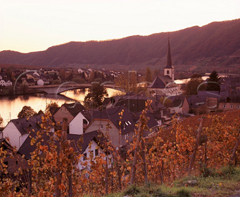Sunset over village of Piesport and the Mosel River Germany  Mosel