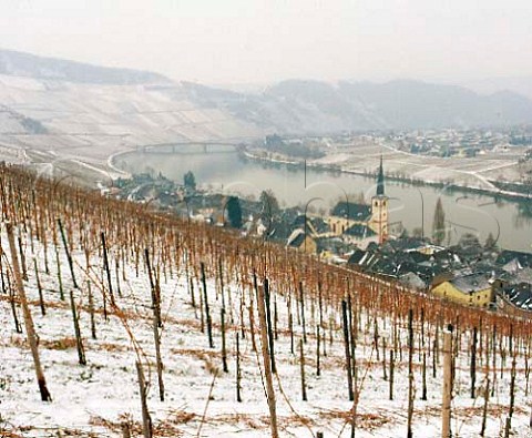 View over the Goldtropfchen vineyard to Piesport and   the Mosel Germany